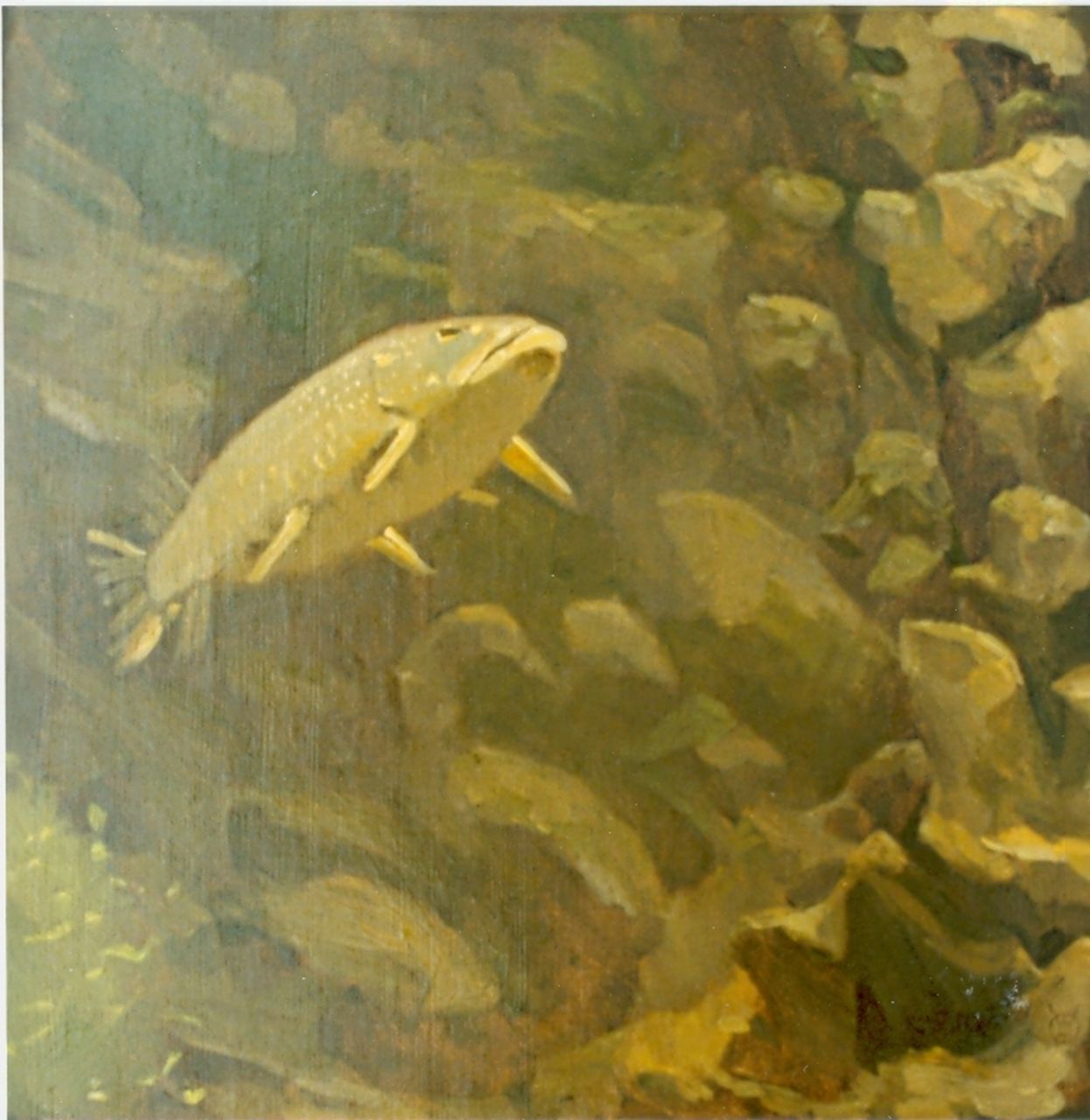 Dijsselhof G.W.  | Gerrit Willem Dijsselhof, Oude snoek, olieverf op doek 35,5 x 35,5 cm, gesigneerd middenonder