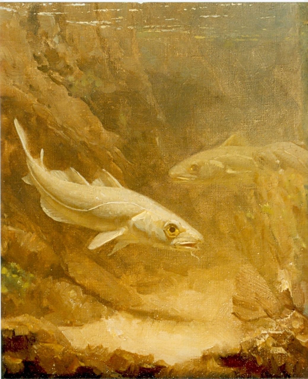 Dijsselhof G.W. | Gerrit Willem Dijsselhof, Kabeljauw, olieverf op doek 24,0 x 20,0 cm, gesigneerd monogram. linksonder Dijsselhof G.W. | Gerrit Willem Dijsselhof, Kabeljauw, olieverf op doek 24,0 x 20,0 cm, gesigneerd monogram. linksonder