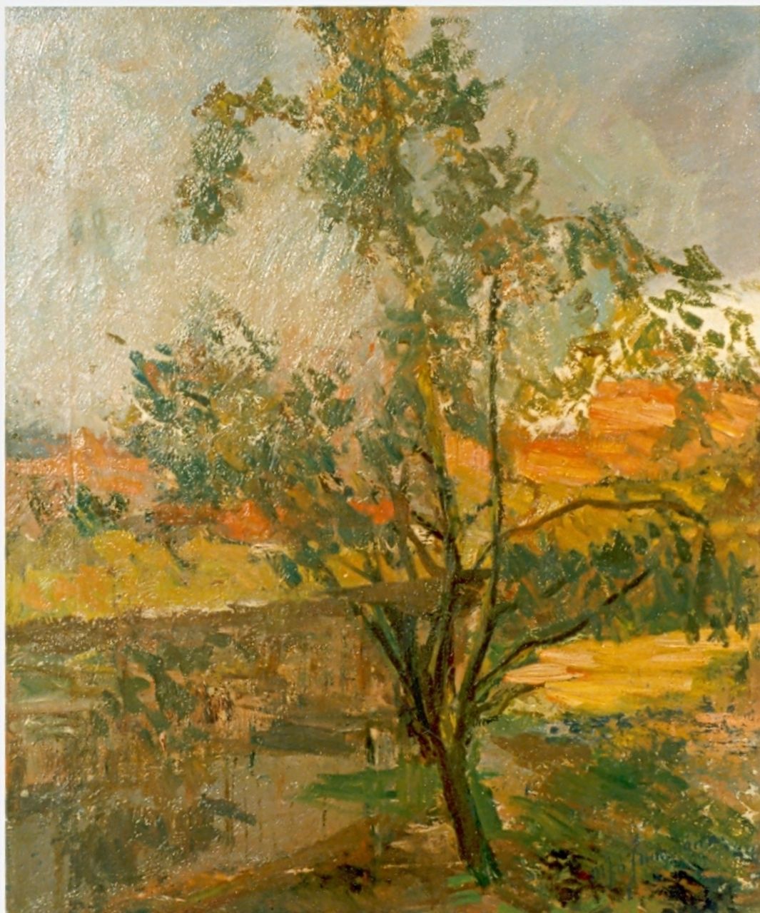 Maarten Jungmann | Impressie van een boom aan het water, olieverf op doek, 57,3 x 48,0 cm, gesigneerd r.o. Maarten Jungmann | Impressie van een boom aan het water, olieverf op doek, 57,3 x 48,0 cm, gesigneerd r.o.