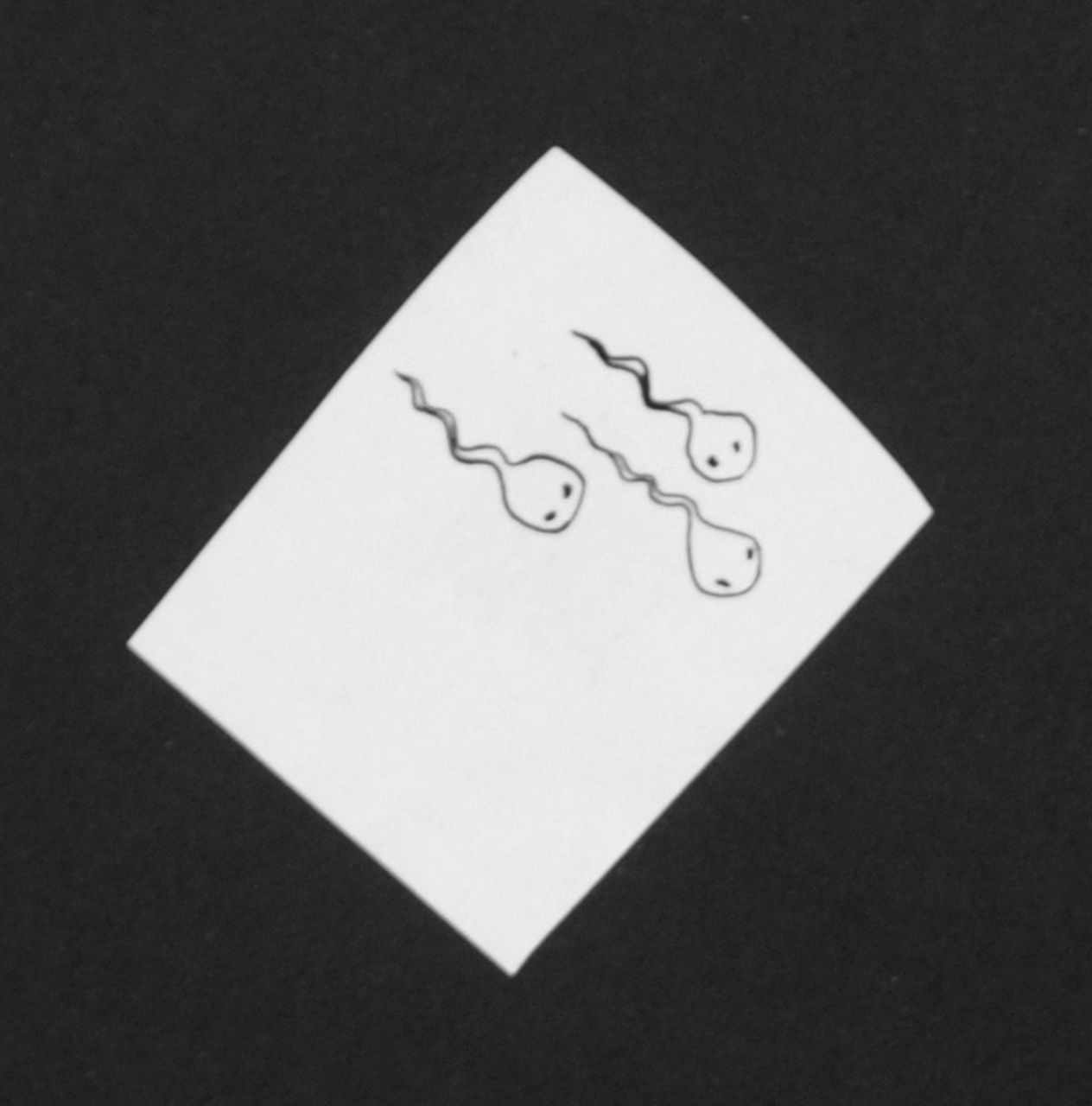 Oranje-Nassau (Prinses Beatrix) B.W.A. van | Beatrix Wilhelmina Armgard van Oranje-Nassau (Prinses Beatrix), Drie kikkervisjes, potlood en Oost-Indische inkt op papier 5,2 x 4,1 cm, te dateren augustus 1960 Oranje-Nassau (Prinses Beatrix) B.W.A. van | Beatrix Wilhelmina Armgard van Oranje-Nassau (Prinses Beatrix), Drie kikkervisjes, potlood en Oost-Indische inkt op papier 5,2 x 4,1 cm, te dateren augustus 1960