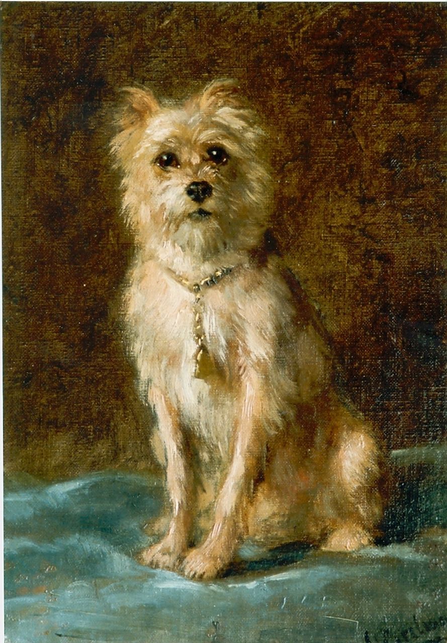 Eerelman O. | Otto Eerelman, Schnautzer, olieverf op doek 31,0 x 21,8 cm, gesigneerd rechtsonder Eerelman O. | Otto Eerelman, Schnautzer, olieverf op doek 31,0 x 21,8 cm, gesigneerd rechtsonder