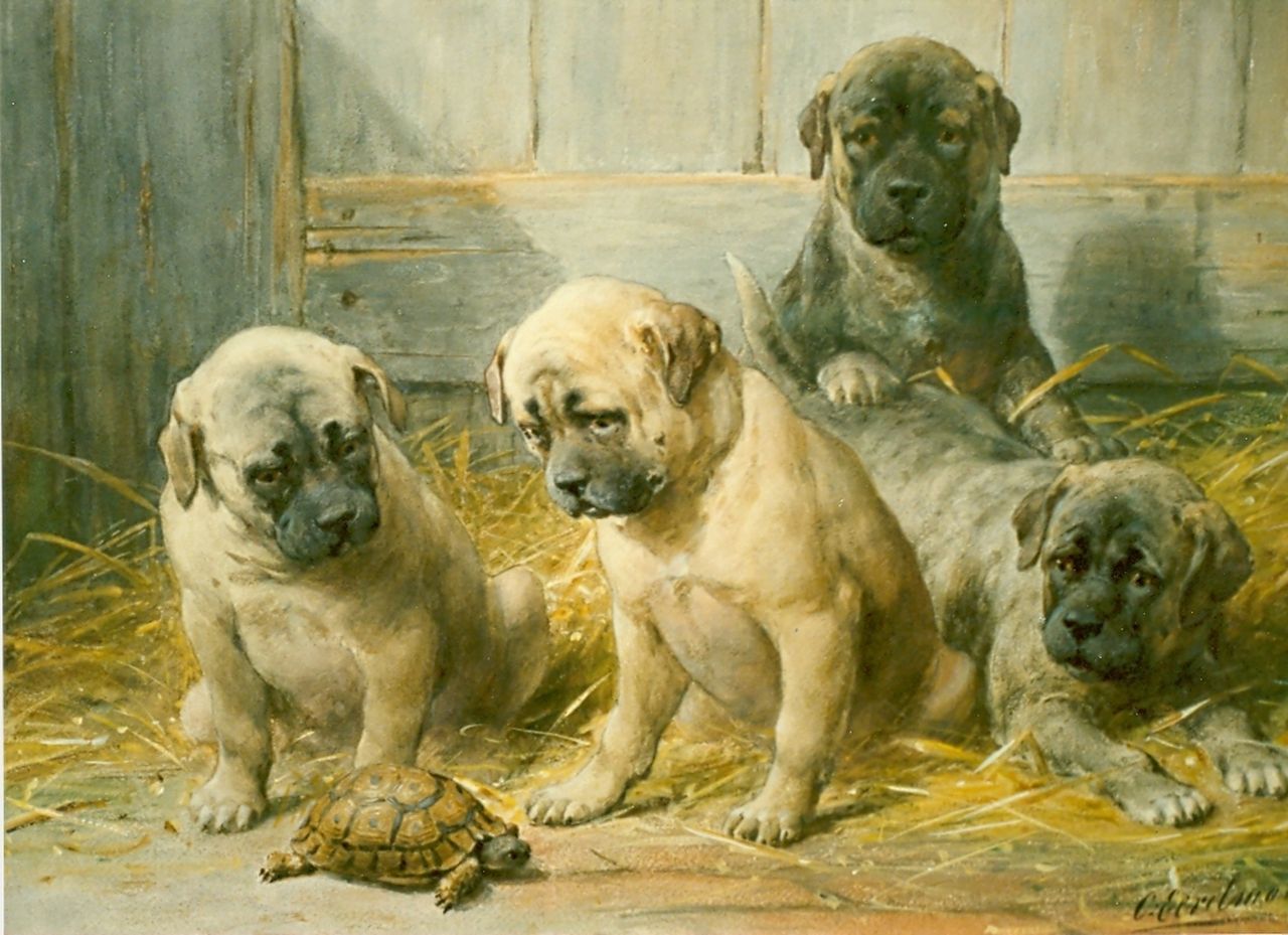 Eerelman O. | Otto Eerelman, Puppies met schildpad, aquarel op papier, gesigneerd linksonder Eerelman O. | Otto Eerelman, Puppies met schildpad, aquarel op papier, gesigneerd linksonder