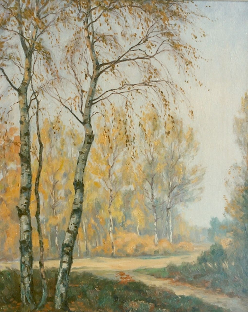 Meijer J. | Johannes 'Johan' Meijer, Berken in de herfst, olieverf op doek 50,0 x 40,0 cm, gesigneerd rechtsonder Meijer J. | Johannes 'Johan' Meijer, Berken in de herfst, olieverf op doek 50,0 x 40,0 cm, gesigneerd rechtsonder