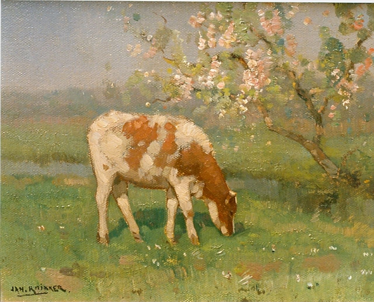 Knikker jr. J.S.  | 'Jan' Simon  Knikker jr., Kalfje in wei onder bloesemboom, olieverf op paneel 18,0 x 24,0 cm, gesigneerd rechtsonder