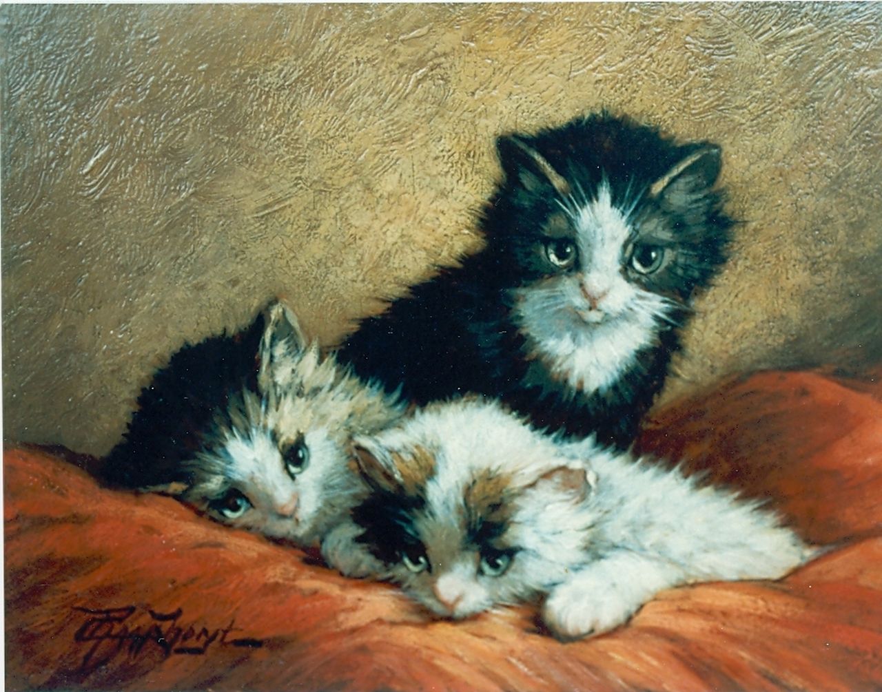 Raaphorst C. | Cornelis Raaphorst, Drie poesjes, olieverf op paneel 18,4 x 24,4 cm, gesigneerd linksonder Raaphorst C. | Cornelis Raaphorst, Drie poesjes, olieverf op paneel 18,4 x 24,4 cm, gesigneerd linksonder