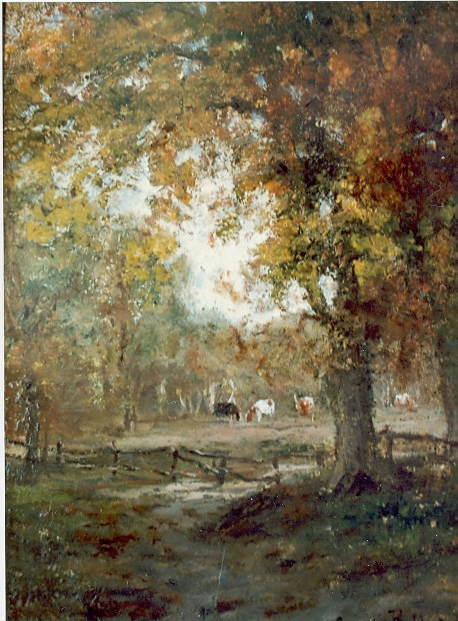 Sande Bakhuyzen J.J. van de | Julius Jacobus van de Sande Bakhuyzen, Grazende koeien op een open plek in het bos, olieverf op paneel 22,2 x 16,4 cm, gesigneerd rechtsonder Sande Bakhuyzen J.J. van de | Julius Jacobus van de Sande Bakhuyzen, Grazende koeien op een open plek in het bos, olieverf op paneel 22,2 x 16,4 cm, gesigneerd rechtsonder