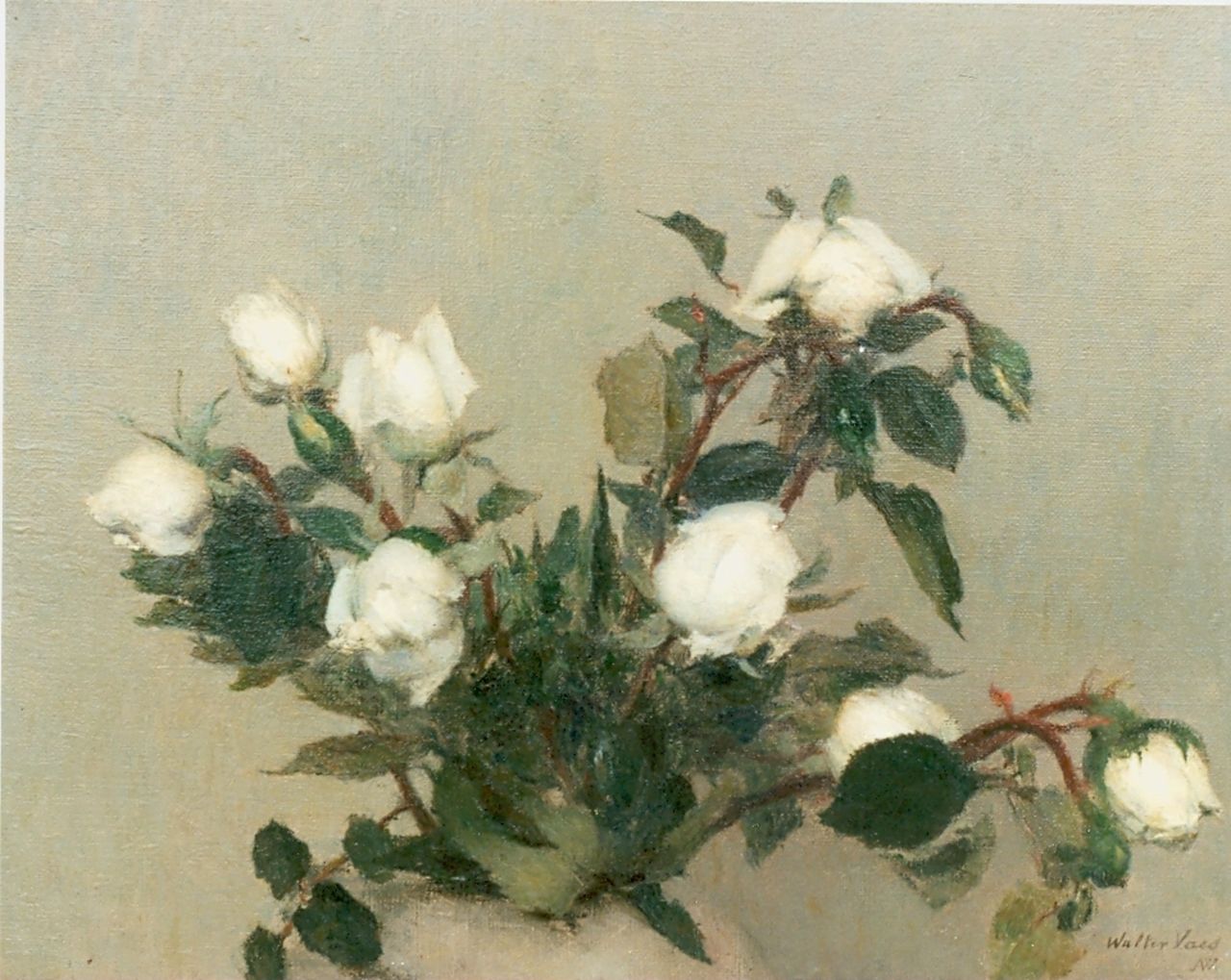 Vaes W. | Walter Vaes, Witte roosjes, olieverf op doek 31,0 x 40,0 cm, gesigneerd rechtsonder Vaes W. | Walter Vaes, Witte roosjes, olieverf op doek 31,0 x 40,0 cm, gesigneerd rechtsonder