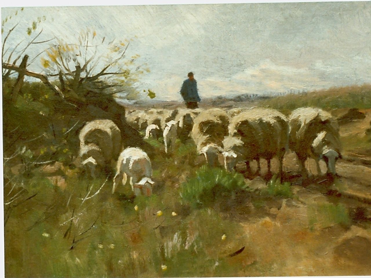 Weele H.J. van der | 'Herman' Johannes van der Weele, Herder en zijn kudde schapen op de heide, olieverf op doek op paneel 36,2 x 50,4 cm Weele H.J. van der | 'Herman' Johannes van der Weele, Herder en zijn kudde schapen op de heide, olieverf op doek op paneel 36,2 x 50,4 cm