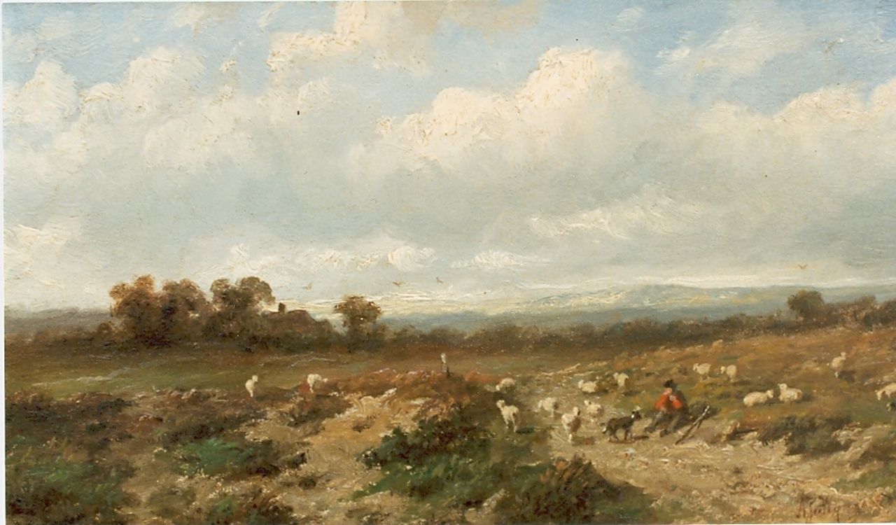 Wijngaerdt A.J. van | Anthonie Jacobus van Wijngaerdt, Heidelandschap met herder en schapen, olieverf op paneel 23,5 x 36,0 cm, gesigneerd rechtsonder Wijngaerdt A.J. van | Anthonie Jacobus van Wijngaerdt, Heidelandschap met herder en schapen, olieverf op paneel 23,5 x 36,0 cm, gesigneerd rechtsonder