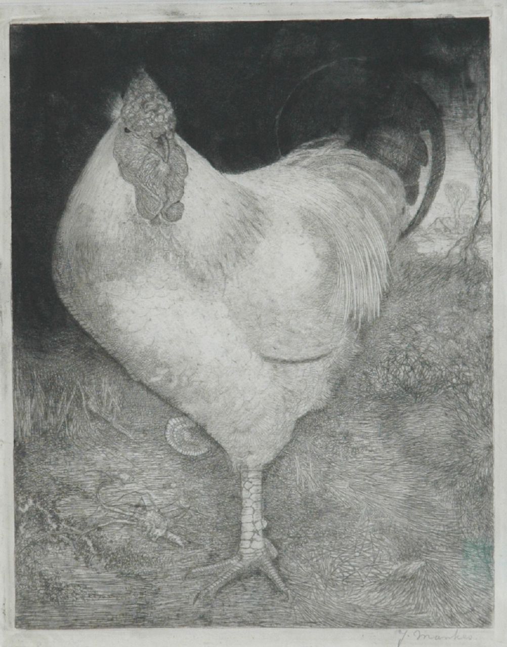 Mankes J. | Jan Mankes, Grote haan, ets op papier 26,0 x 21,0 cm, gesigneerd rechtsonder en te dateren 1917 Mankes J. | Jan Mankes, Grote haan, ets op papier 26,0 x 21,0 cm, gesigneerd rechtsonder en te dateren 1917