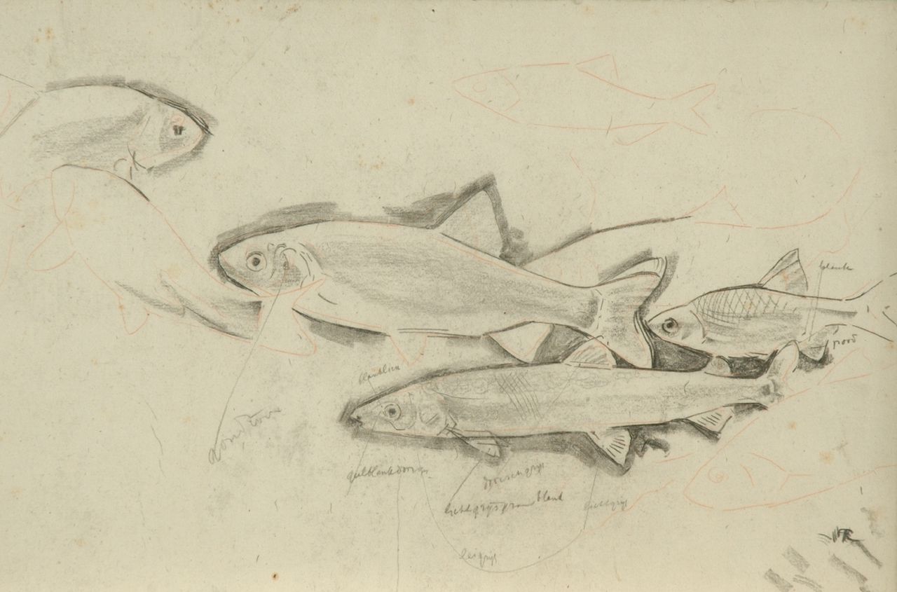 Dijsselhof G.W.  | Gerrit Willem Dijsselhof, Studie van forellen, zwart krijt op papier 26,5 x 40,1 cm