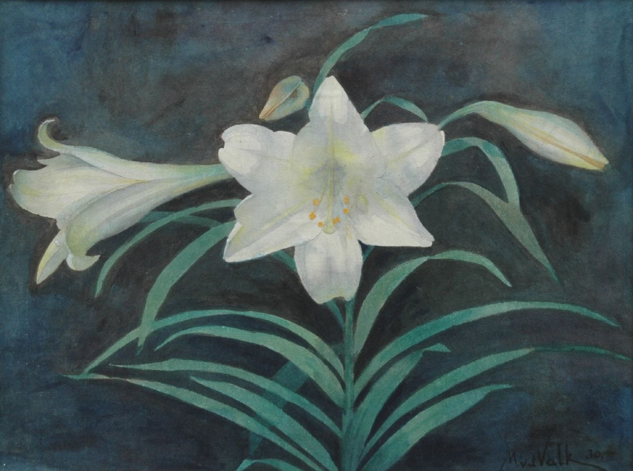 Valk M.W. van der | Maurits Willem van der Valk, Witte lelie, potlood en aquarel op papier 27,9 x 36,8 cm, gesigneerd rechtsonder en gedateerd '30