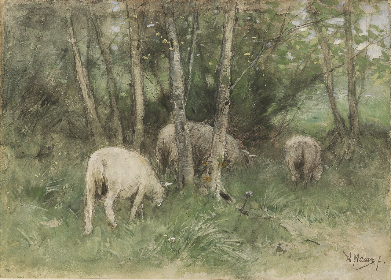 Mauve A. | Anthonij 'Anton' Mauve, Grazende schapen tussen berkenbomen (verloren gegaan bij brand in Armando Museum, 22.10.2007), potlood en aquarel op papier op paneel 25,1 x 35,1 cm, gesigneerd rechtsonder Mauve A. | Anthonij 'Anton' Mauve, Grazende schapen tussen berkenbomen (verloren gegaan bij brand in Armando Museum, 22.10.2007), potlood en aquarel op papier op paneel 25,1 x 35,1 cm, gesigneerd rechtsonder