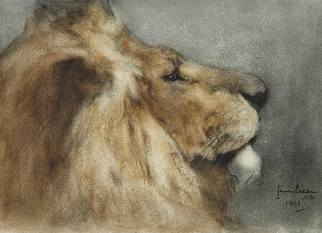 Essen J.C. van | Johannes Cornelis 'Jan' van Essen, Leeuwenkop, aquarel op papier 20,0 x 27,8 cm, gesigneerd rechtsonder en gedateerd 1896 Essen J.C. van | Johannes Cornelis 'Jan' van Essen, Leeuwenkop, aquarel op papier 20,0 x 27,8 cm, gesigneerd rechtsonder en gedateerd 1896