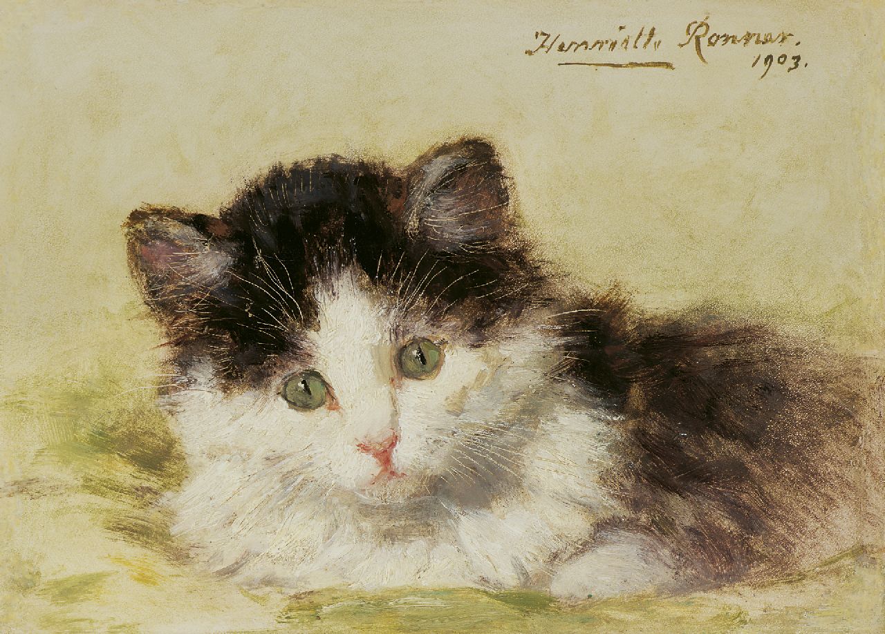 Ronner-Knip H.  | Henriette Ronner-Knip, Jong poesje, olieverf op paneel 13,7 x 18,9 cm, gesigneerd rechtsboven en gedateerd 1903