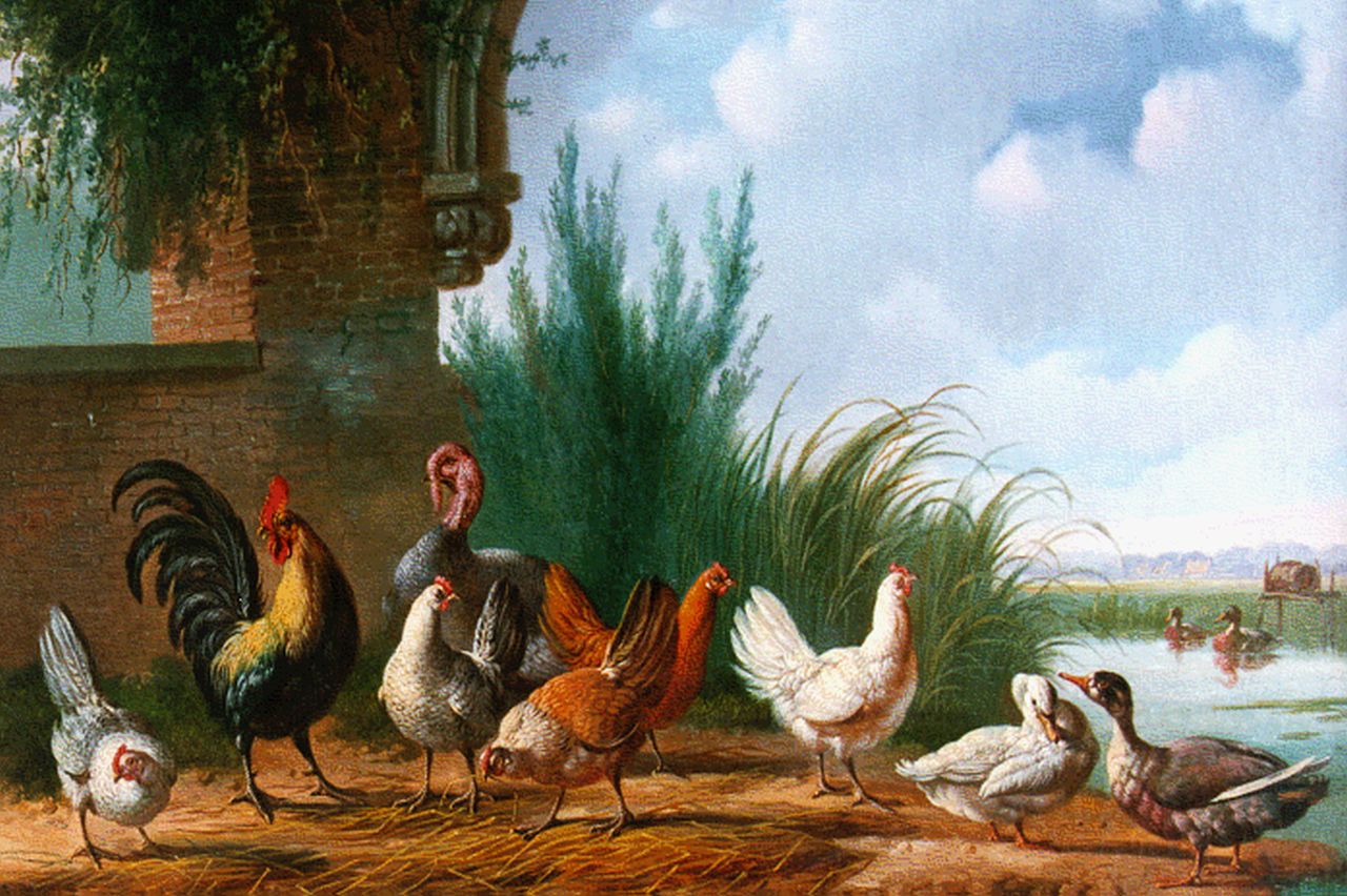 Verhoesen A. | Albertus Verhoesen, Pluimvee aan de waterkant, olieverf op doek 34,3 x 46,0 cm, gesigneerd linksonder en gedateerd 1863 Verhoesen A. | Albertus Verhoesen, Pluimvee aan de waterkant, olieverf op doek 34,3 x 46,0 cm, gesigneerd linksonder en gedateerd 1863
