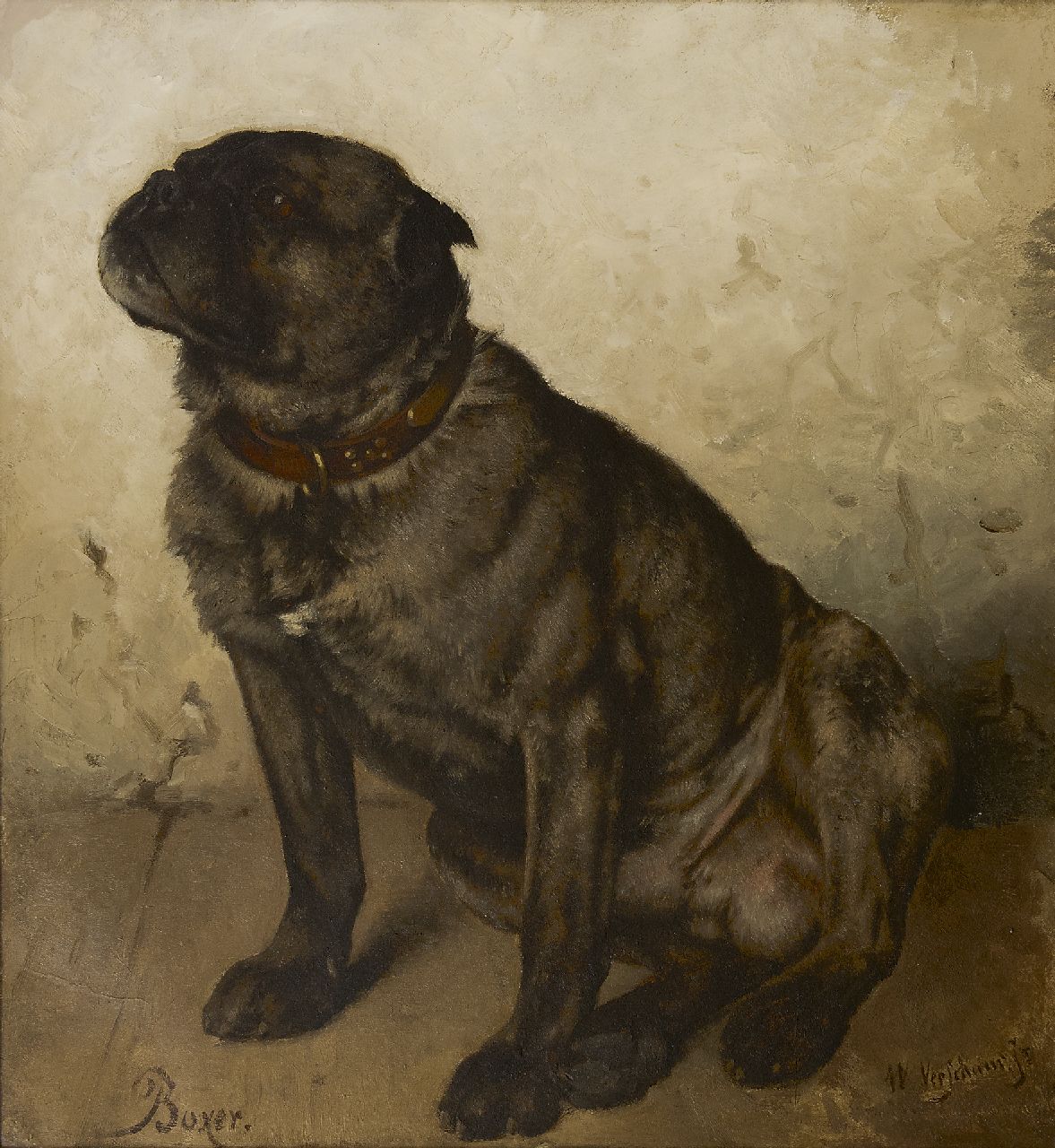Verschuur jr. W. | Wouter Verschuur jr., Boxer, olieverf op doek 53,4 x 49,2 cm, gesigneerd rechtsonder Verschuur jr. W. | Wouter Verschuur jr., Boxer, olieverf op doek 53,4 x 49,2 cm, gesigneerd rechtsonder
