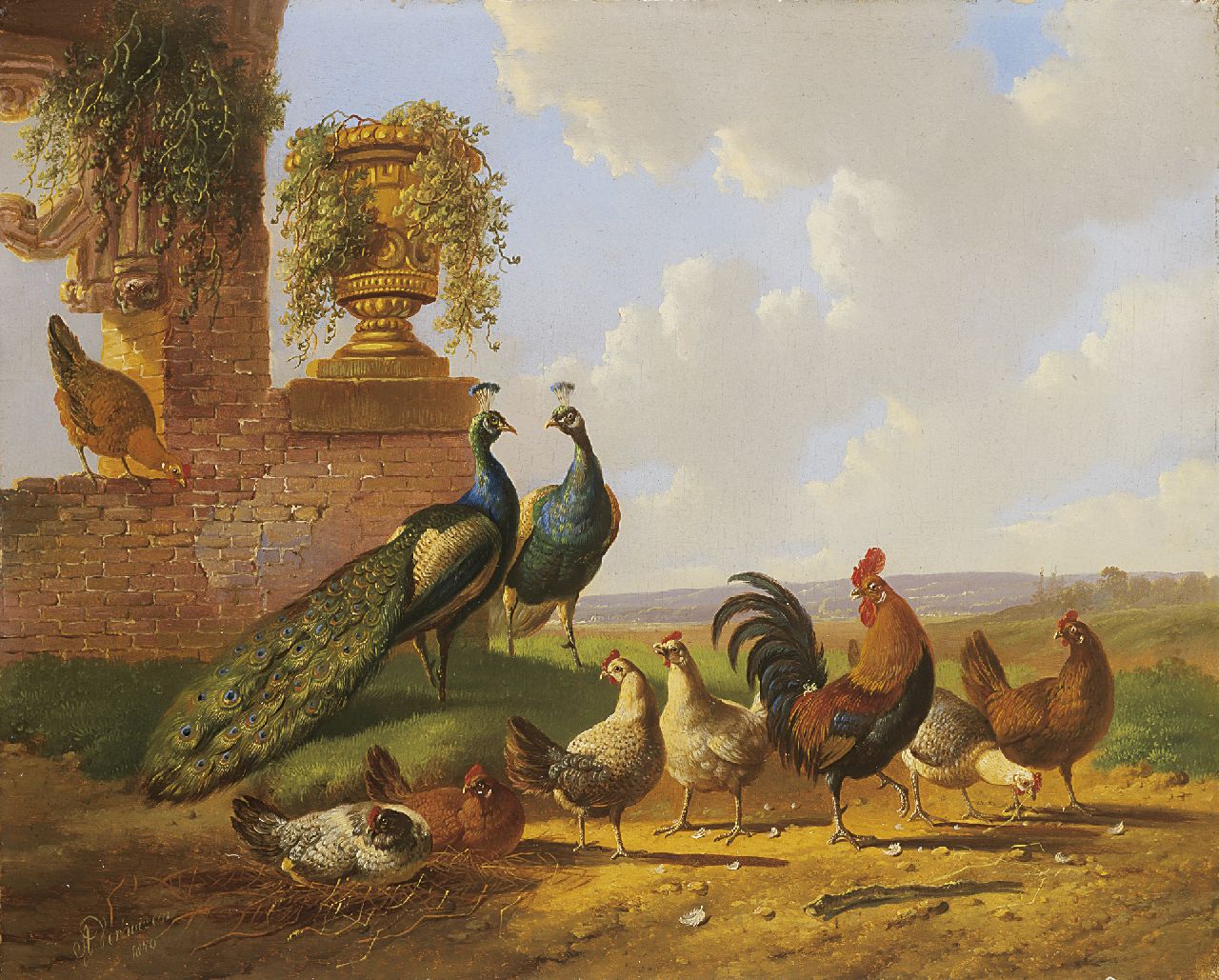 Verhoesen A. | Albertus Verhoesen, Pauwen en pluimvee bij een ruïne, olieverf op paneel 30,3 x 37,5 cm, gesigneerd linksonder en gedateerd 1870 Verhoesen A. | Albertus Verhoesen, Pauwen en pluimvee bij een ruïne, olieverf op paneel 30,3 x 37,5 cm, gesigneerd linksonder en gedateerd 1870