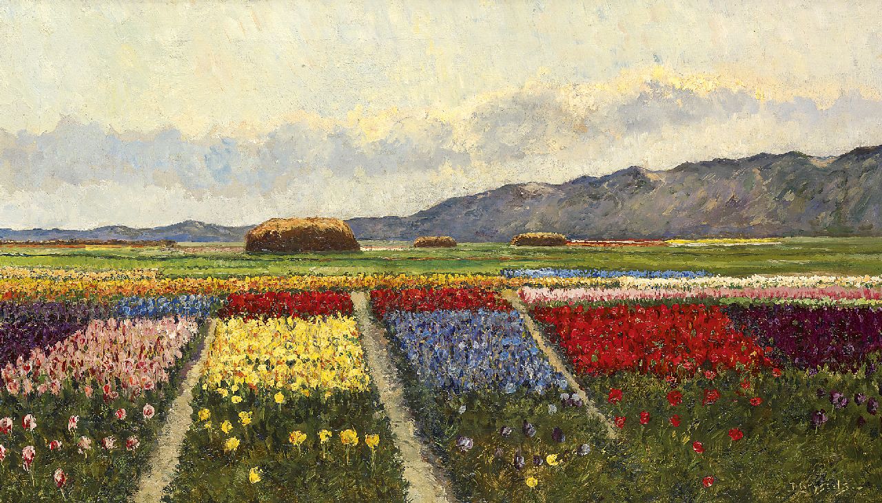 Grijseels L.  | Leo Grijseels, Bollenvelden achter de duinen, olieverf op doek 35,5 x 60,5 cm, gesigneerd rechtsonder