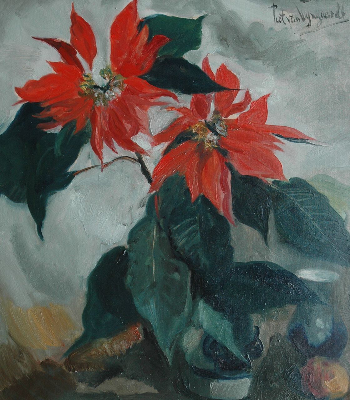 Wijngaerdt P.T. van | Petrus Theodorus 'Piet' van Wijngaerdt, Poinsetta's (Kerststerren) met goudreinette, olieverf op doek 80,1 x 70,6 cm, gesigneerd rechtsboven