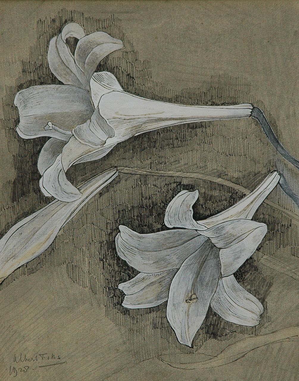 Fiks A. | Albert Fiks, Witte lelies, pen, inkt en gouache op papier 29,5 x 23,4 cm, gesigneerd linksonder en gedateerd 1928 Fiks A. | Albert Fiks, Witte lelies, pen, inkt en gouache op papier 29,5 x 23,4 cm, gesigneerd linksonder en gedateerd 1928