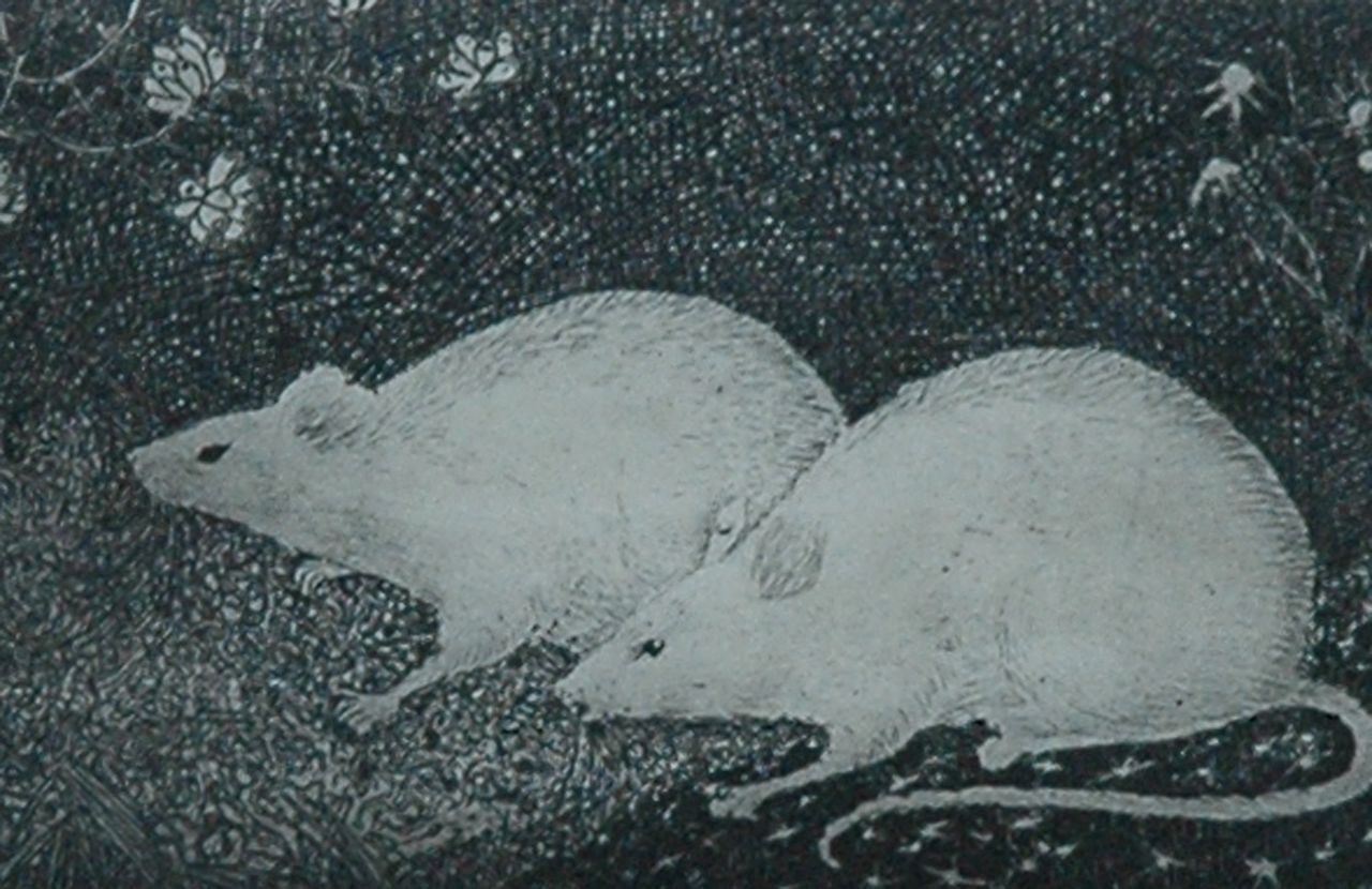 Mankes J. | Jan Mankes, Twee muizen, kopergravure op papier 6,9 x 10,0 cm, gesigneerd rechtsonder (in potlood) en te dateren 1916 Mankes J. | Jan Mankes, Twee muizen, kopergravure op papier 6,9 x 10,0 cm, gesigneerd rechtsonder (in potlood) en te dateren 1916