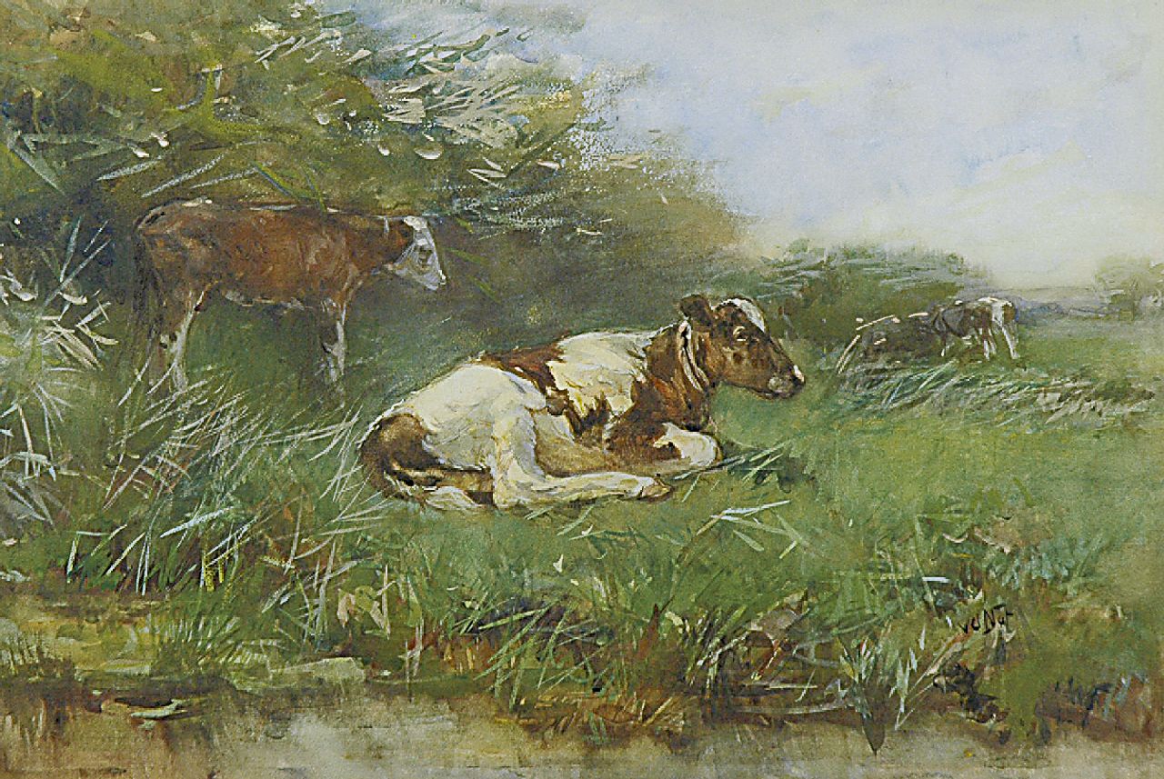 Nat W.H. van der | 'Willem' Hendrik van der Nat, Kalfjes in de wei, aquarel op papier 33,3 x 49,6 cm, gesigneerd rechtsonder