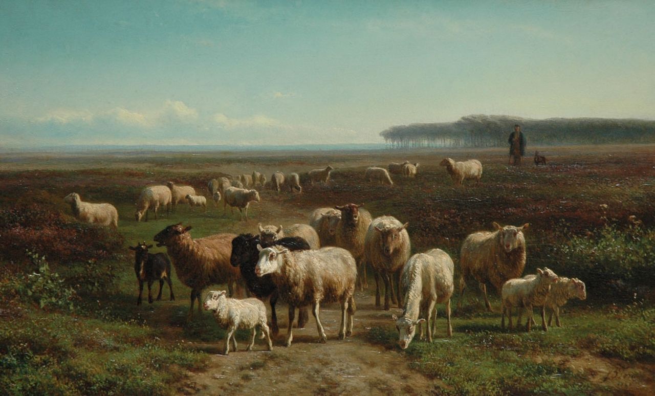 Tom J.B.  | Jan Bedijs Tom, Schaapskudde op de hei, olieverf op paneel 28,2 x 45,8 cm, gesigneerd rechtsonder en gedateerd 1866