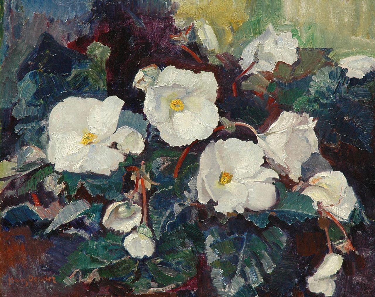 Oerder F.D.  | 'Frans' David Oerder, Bloeiende begonia, olieverf op doek 40,3 x 50,5 cm, gesigneerd linksonder