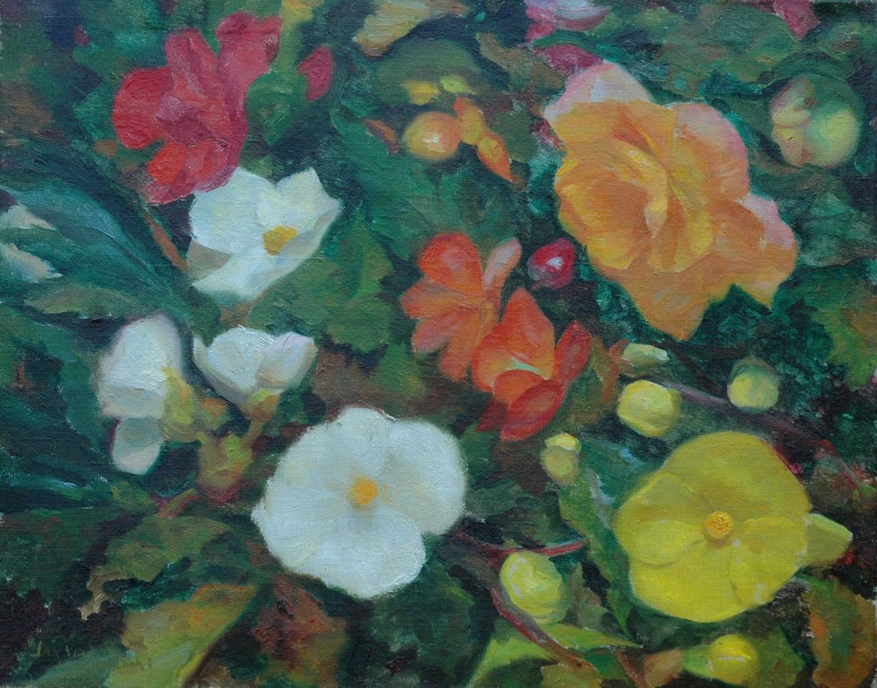 Visser J. | Jan Visser, Begonia's, olieverf op doek 40,2 x 50,1 cm, gesigneerd linksonder Visser J. | Jan Visser, Begonia's, olieverf op doek 40,2 x 50,1 cm, gesigneerd linksonder