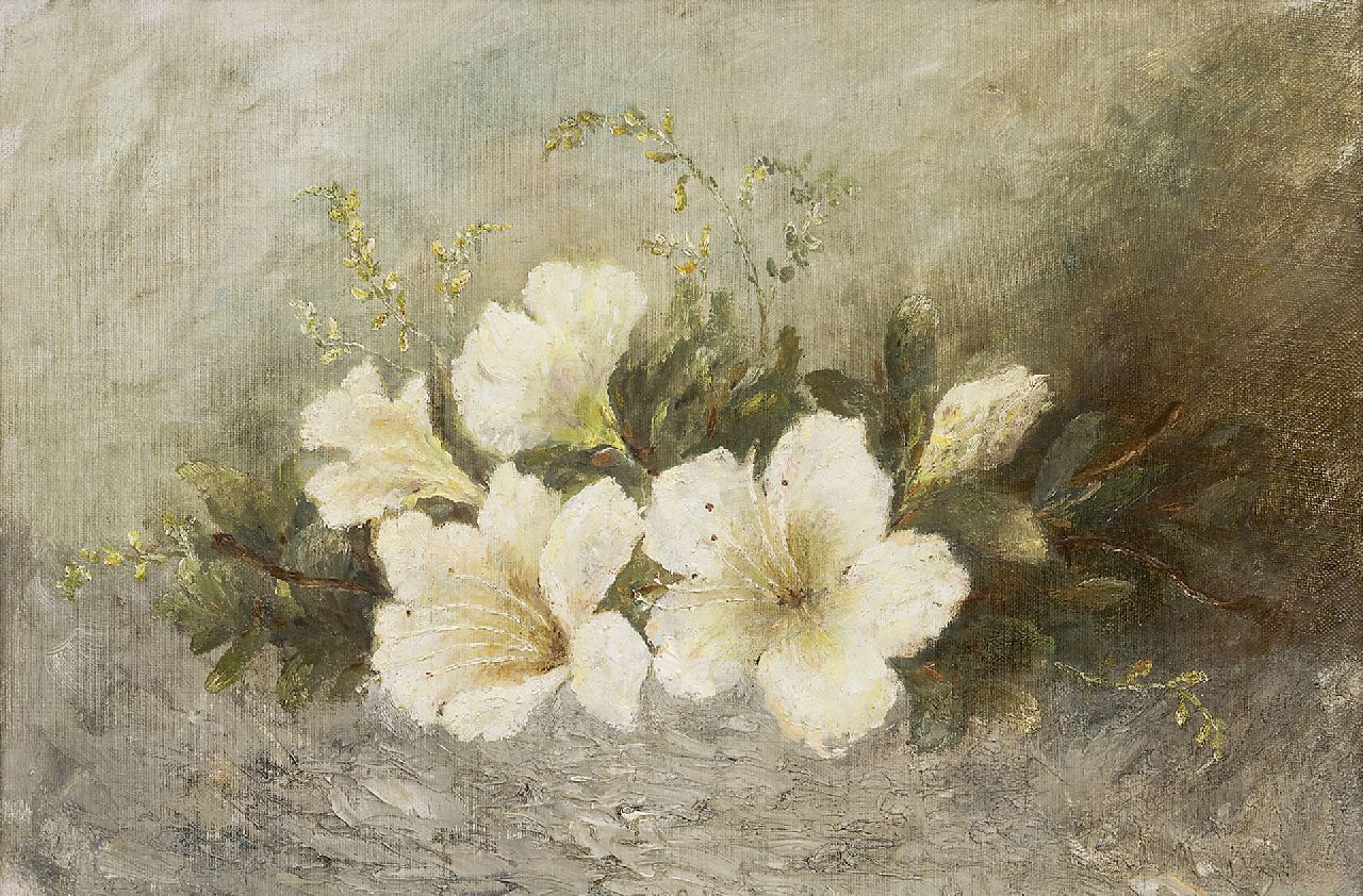 Booms W.C.G.  | Wilhelmine Christine Gerardine Booms, Azaleatak, olieverf op doek op paneel 27,5 x 40,5 cm