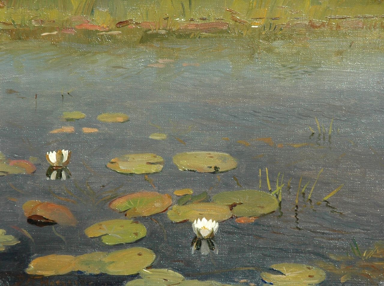 Hoogeveen D.M. | Douwe Mattheus Hoogeveen, Waterlelies, olieverf op doek 24,3 x 33,0 cm, gesigneerd linksonder Hoogeveen D.M. | Douwe Mattheus Hoogeveen, Waterlelies, olieverf op doek 24,3 x 33,0 cm, gesigneerd linksonder