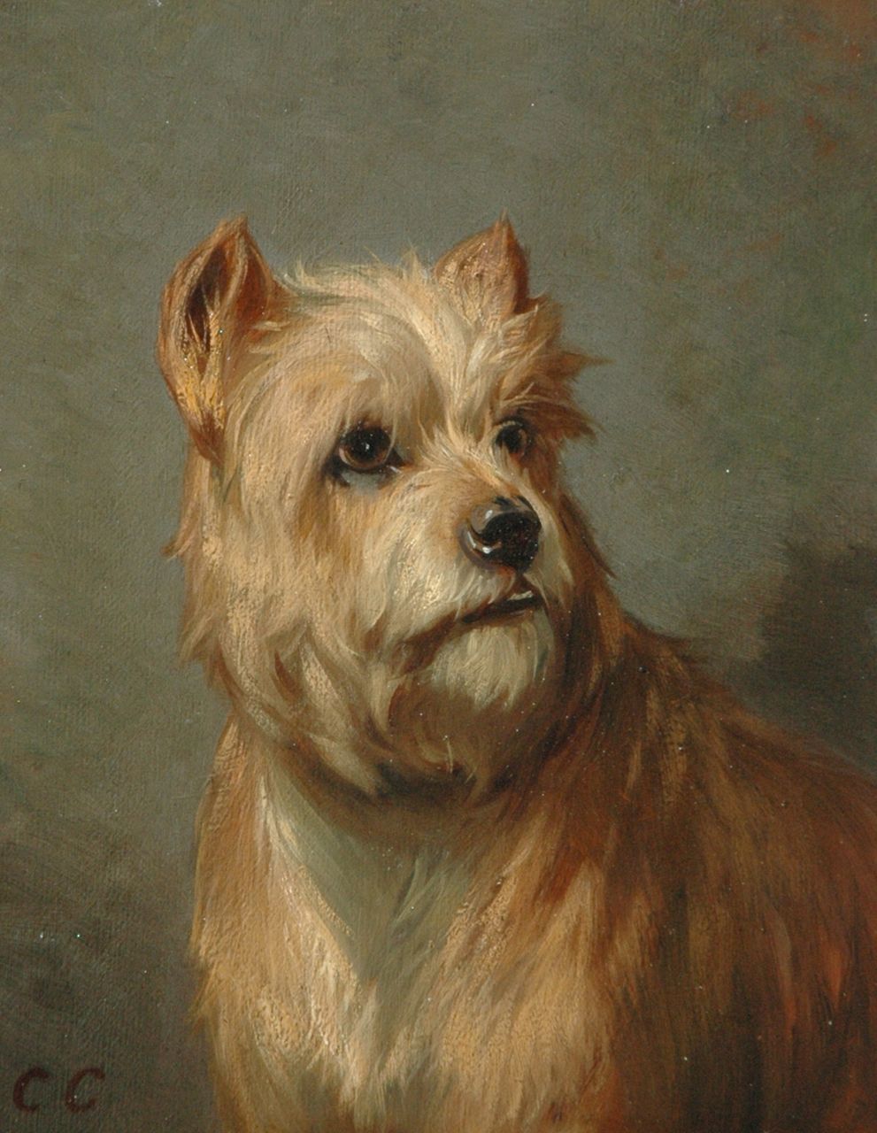 Cunaeus C. | Conradijn Cunaeus, Portret van een schnauzer, olieverf op paneel 19,0 x 14,7 cm, gesigneerd linksonder met initialen Cunaeus C. | Conradijn Cunaeus, Portret van een schnauzer, olieverf op paneel 19,0 x 14,7 cm, gesigneerd linksonder met initialen