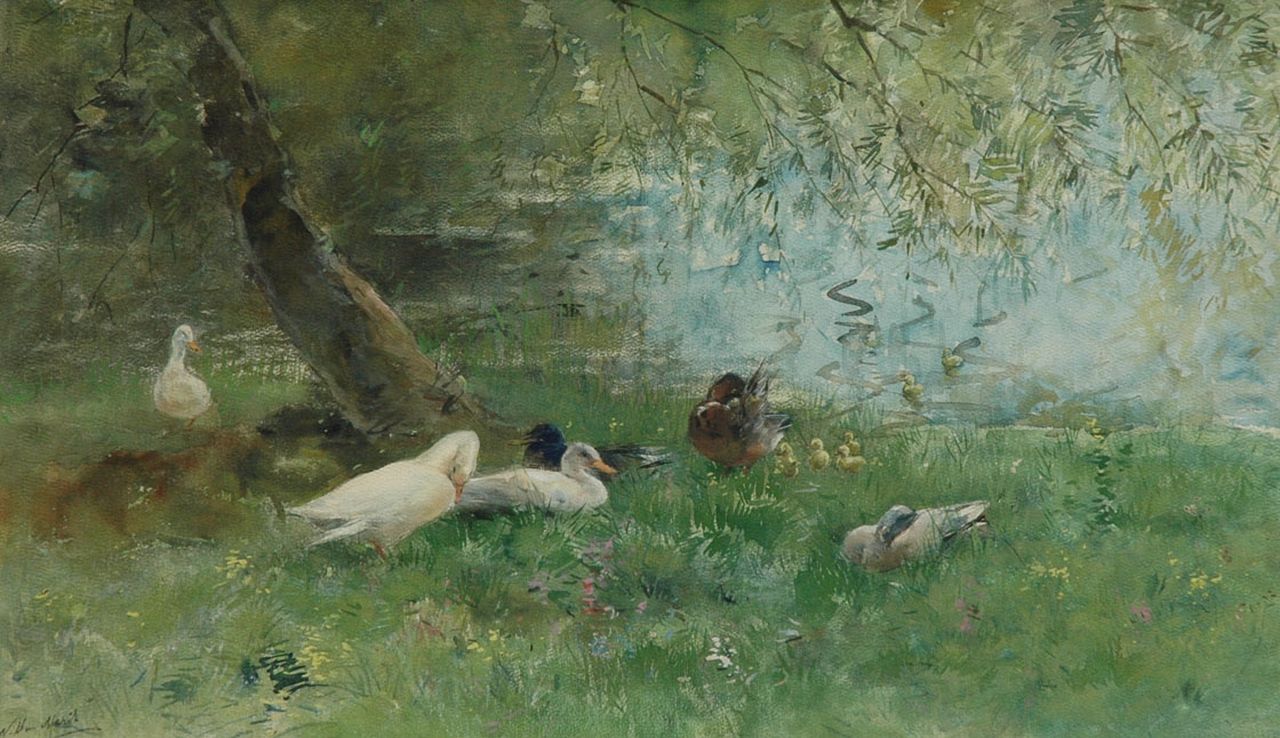 Maris W. | Willem Maris, Eenden aan de waterkant, aquarel op papier 39,0 x 65,5 cm, gesigneerd linksonder Maris W. | Willem Maris, Eenden aan de waterkant, aquarel op papier 39,0 x 65,5 cm, gesigneerd linksonder