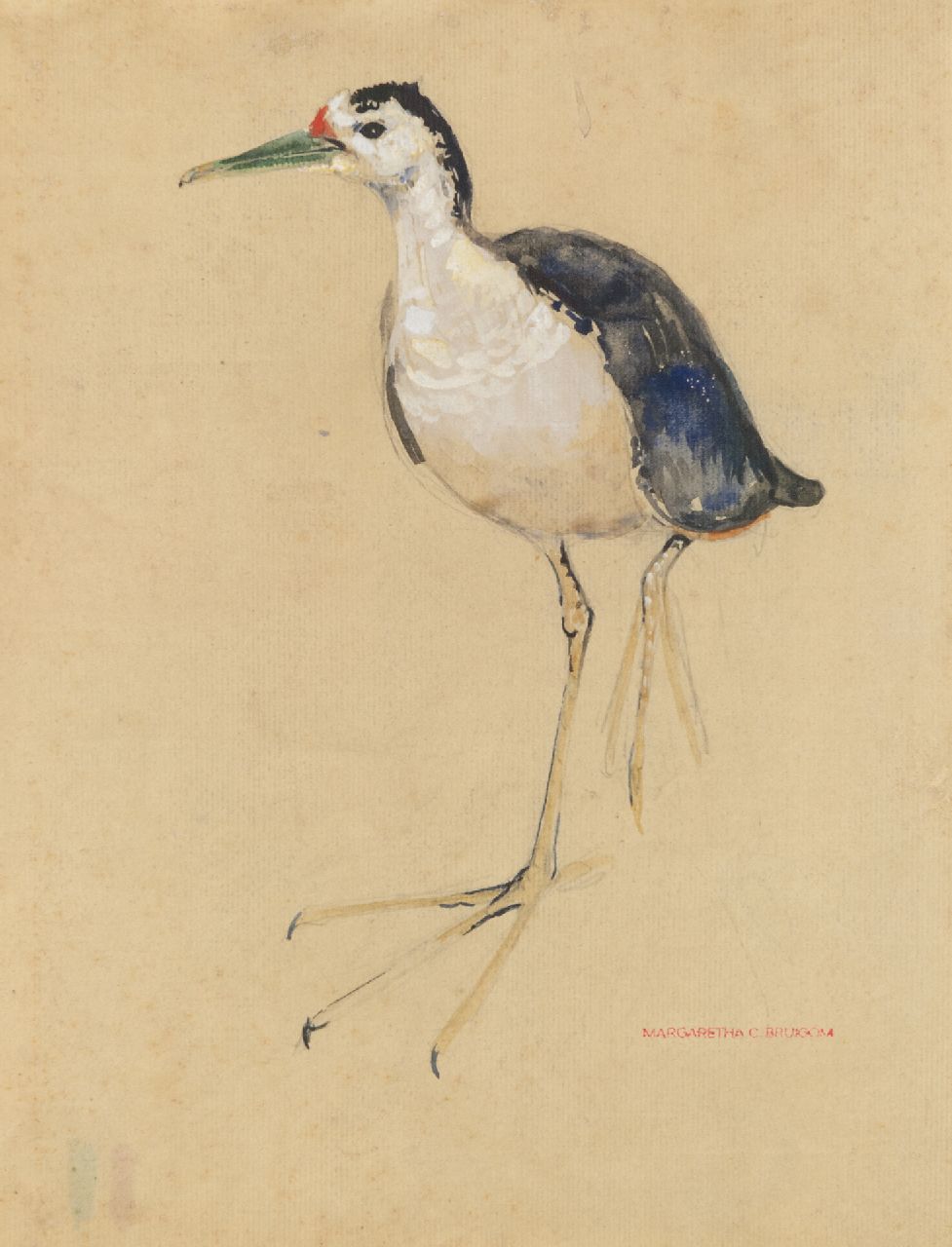 Bruigom M.C.  | Margaretha Cornelia 'Greta' Bruigom, Steltloper, aquarel en stempelinkt op papier 31,3 x 24,6 cm, gesigneerd rechtsonder met naamstempel