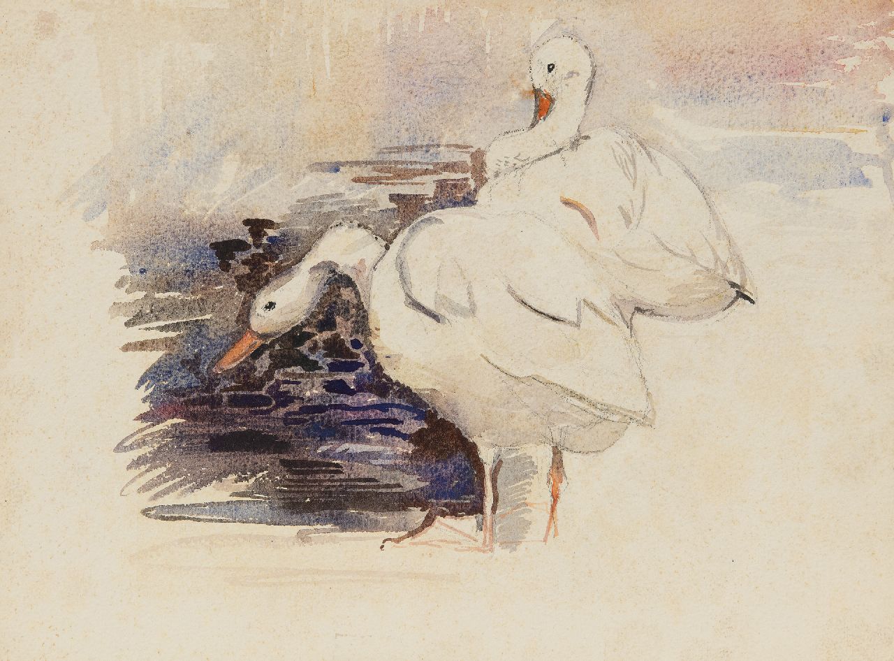 Bruigom M.C. | Margaretha Cornelia 'Greta' Bruigom | Aquarellen en tekeningen te koop aangeboden | Zwanenpaar, aquarel op papier 26,0 x 35,0 cm Bruigom M.C. | Margaretha Cornelia 'Greta' Bruigom | Aquarellen en tekeningen te koop aangeboden | Zwanenpaar, aquarel op papier 26,0 x 35,0 cm