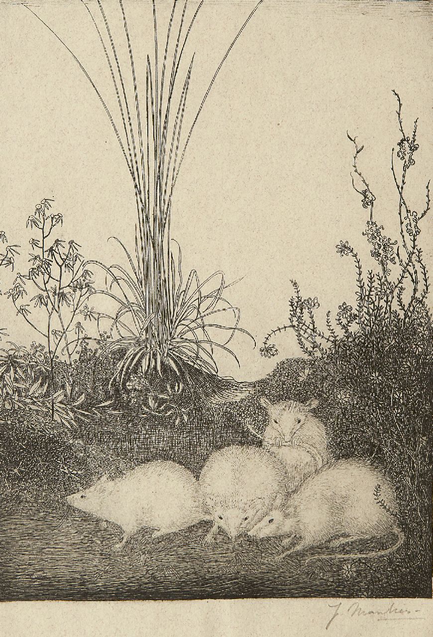 Mankes J. | Jan Mankes, Vier muizen, ets op papier 19,5 x 14,5 cm, gesigneerd rechtsonder (in potlood) en te dateren 1916 Mankes J. | Jan Mankes, Vier muizen, ets op papier 19,5 x 14,5 cm, gesigneerd rechtsonder (in potlood) en te dateren 1916