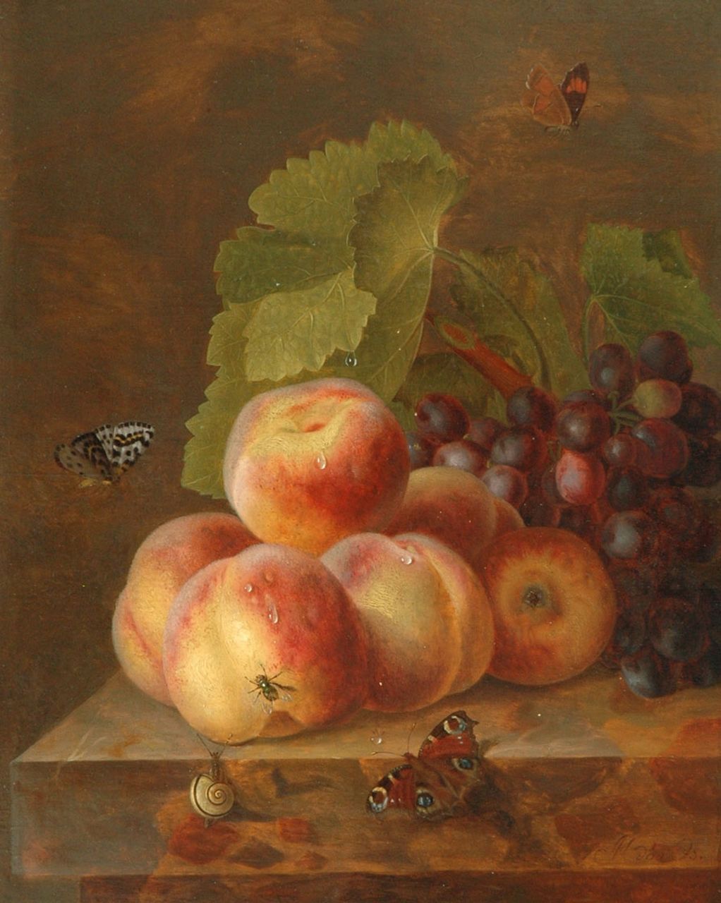Os M.M. van | Maria Margaretha van Os, Stilleven met perziken en druiven, olieverf op paneel 40,1 x 32,0 cm, gesigneerd rechtsonder Os M.M. van | Maria Margaretha van Os, Stilleven met perziken en druiven, olieverf op paneel 40,1 x 32,0 cm, gesigneerd rechtsonder