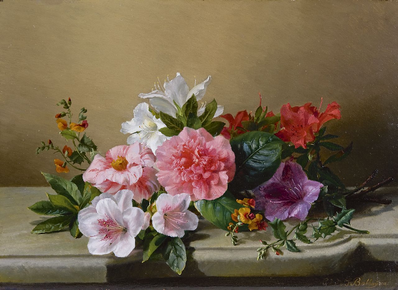 Sande Bakhuyzen G.J. van de | 'Gerardine' Jacoba van de Sande Bakhuyzen, Stilleven met azaleatakken en pioenroos op een stenen blad, olieverf op paneel 28,2 x 38,9 cm, gesigneerd rechtsonder Sande Bakhuyzen G.J. van de | 'Gerardine' Jacoba van de Sande Bakhuyzen, Stilleven met azaleatakken en pioenroos op een stenen blad, olieverf op paneel 28,2 x 38,9 cm, gesigneerd rechtsonder