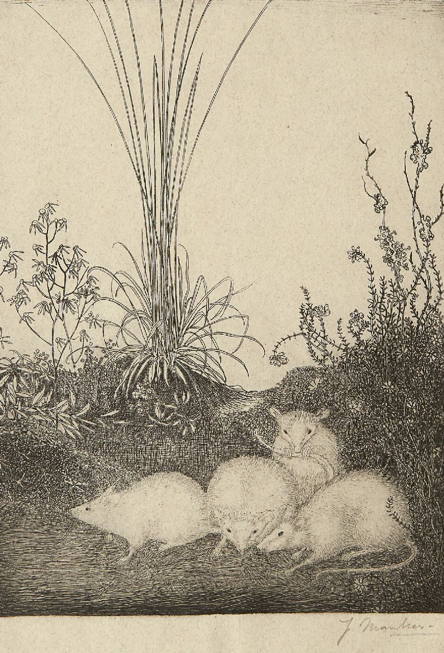 Mankes J. | Jan Mankes, Vier muizen, ets op papier 19,5 x 14,5 cm, gesigneerd rechtsonder (in potlood) en te dateren 1916 Mankes J. | Jan Mankes, Vier muizen, ets op papier 19,5 x 14,5 cm, gesigneerd rechtsonder (in potlood) en te dateren 1916