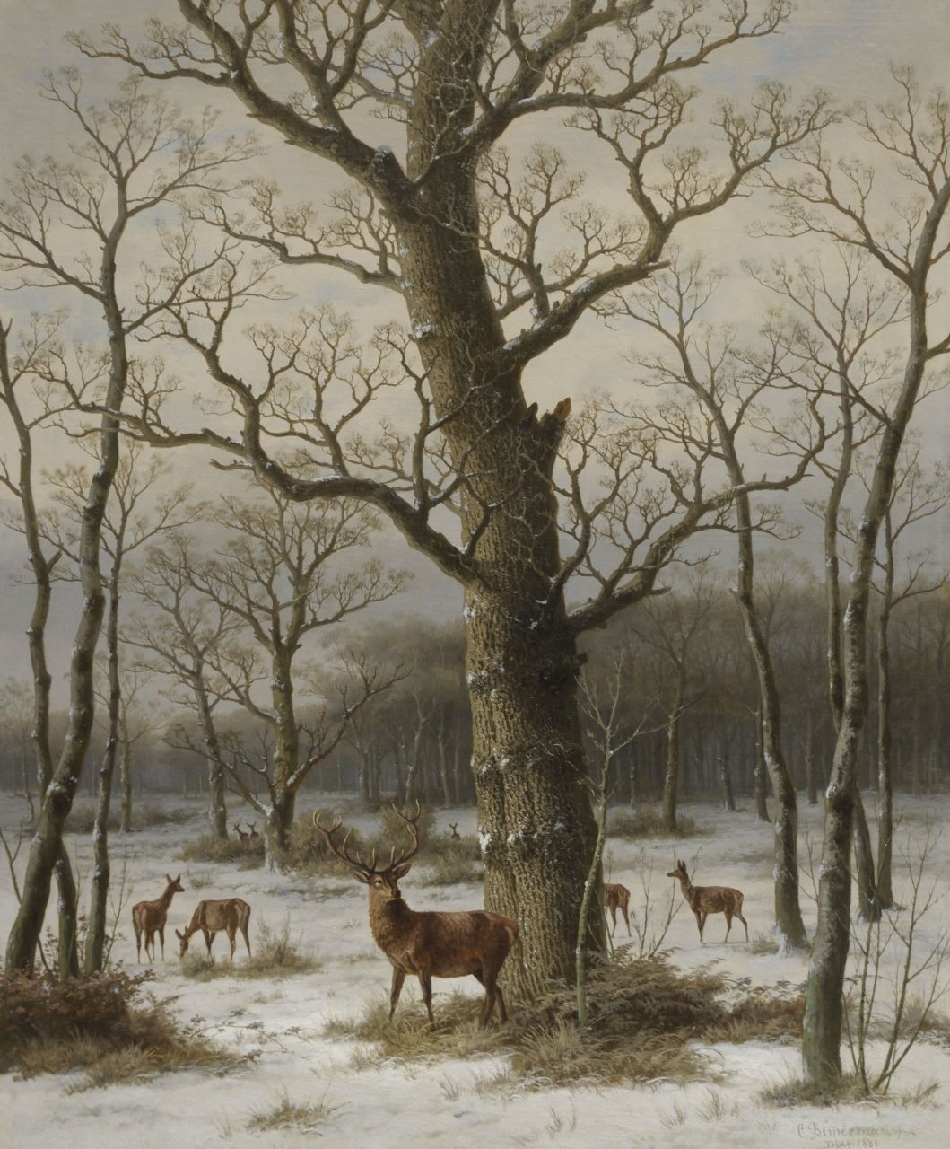 Bimmermann C. | Caesar Bimmermann, Besneeuwd eikenbos met hert en hindes, olieverf op doek 94,3 x 77,1 cm, gesigneerd rechtsonder en gedateerd 'Dldf. 1886' Bimmermann C. | Caesar Bimmermann, Besneeuwd eikenbos met hert en hindes, olieverf op doek 94,3 x 77,1 cm, gesigneerd rechtsonder en gedateerd 'Dldf. 1886'