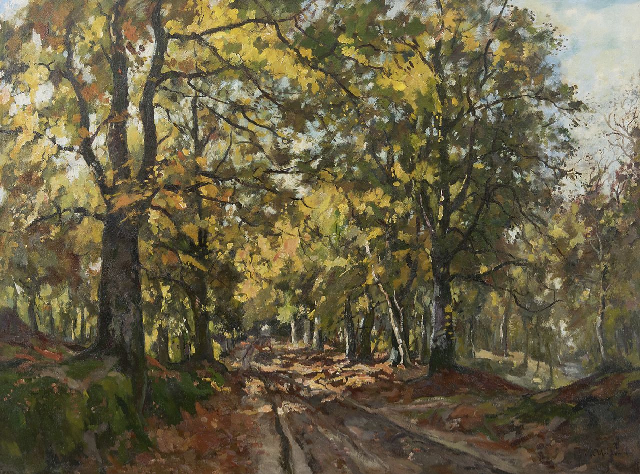 Vuuren J. van | Jan van Vuuren, In het Leuvenumse bos, olieverf op doek 75,5 x 100,5 cm, gesigneerd rechtsonder