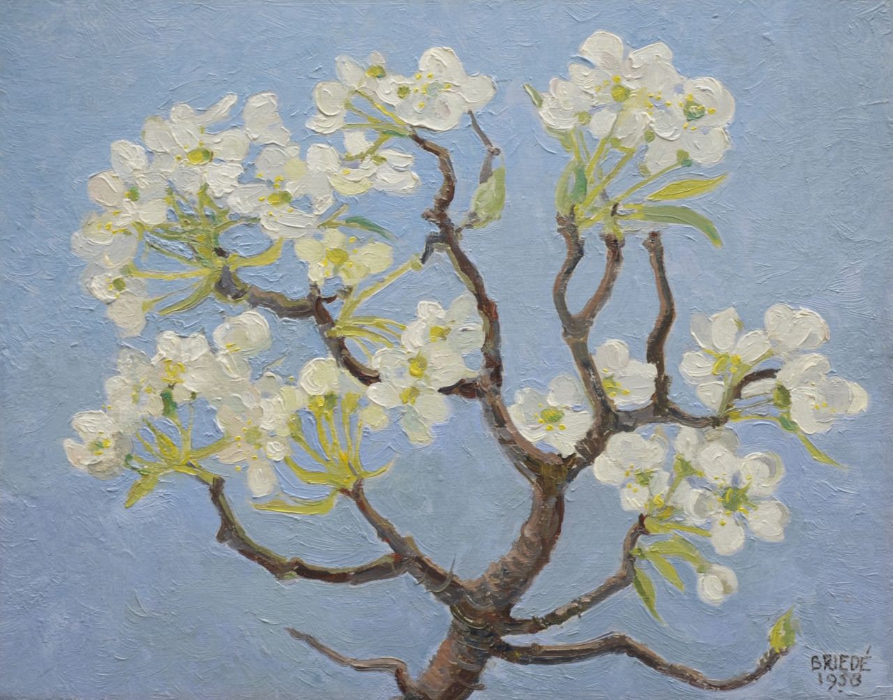 Briedé J.  | Johan Briedé, Perenbloesem, olieverf op board 25,1 x 31,8 cm, gesigneerd rechtsonder en gedateerd 1958