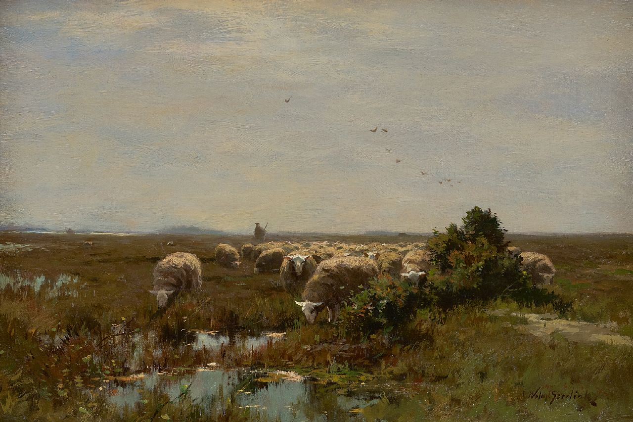 Steelink jr. W. | Willem Steelink jr. | Schilderijen te koop aangeboden | Grazende schapen op de heide, olieverf op doek 33,1 x 48,0 cm, gesigneerd rechtsonder en zonder lijst Steelink jr. W. | Willem Steelink jr. | Schilderijen te koop aangeboden | Grazende schapen op de heide, olieverf op doek 33,1 x 48,0 cm, gesigneerd rechtsonder en zonder lijst