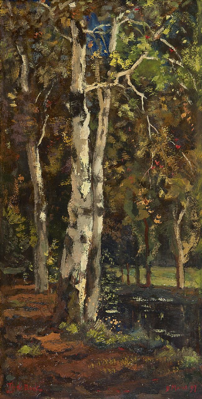 Bock T.E.A. de | Théophile Emile Achille de Bock, Berken bij een bosbeek, olieverf op paneel 52,8 x 26,6 cm, gesigneerd linksonder en gedateerd 9 Maart '97