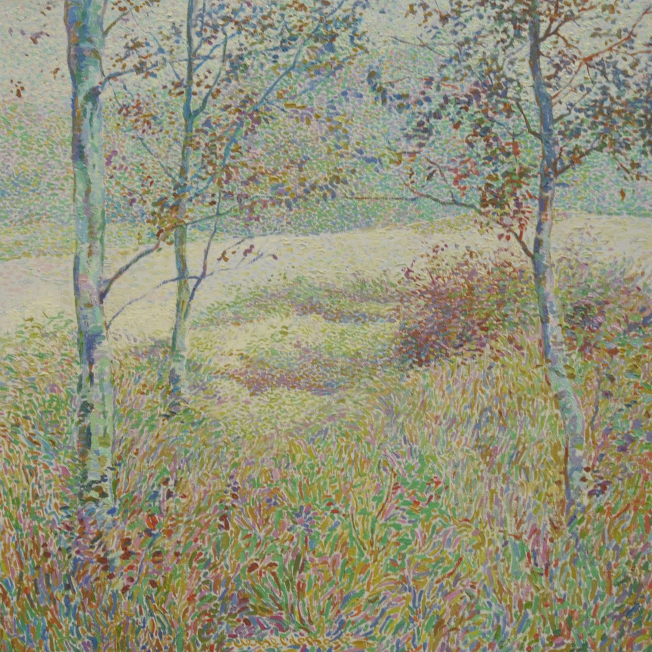Boer H. de | Hessel de Boer | Schilderijen te koop aangeboden | Berkenbomen, olieverf op doek 69,0 x 69,0 cm, gesigneerd middenonder en zonder lijst