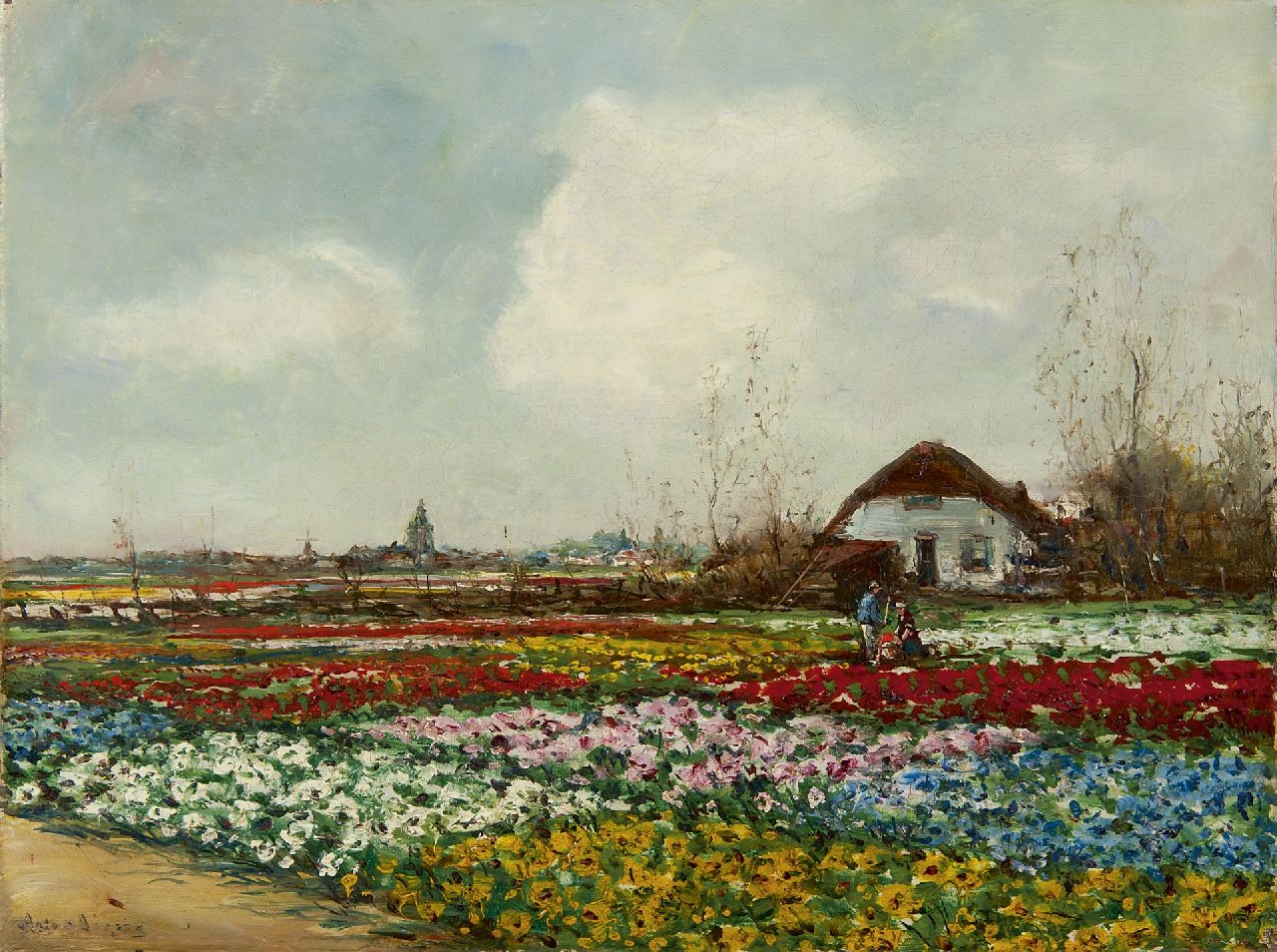 Dirckx A.B.  | Antonius Bernardus 'Anton' Dirckx, Bloeiende bollenvelden, olieverf op doek 30,2 x 40,3 cm, gesigneerd linksonder