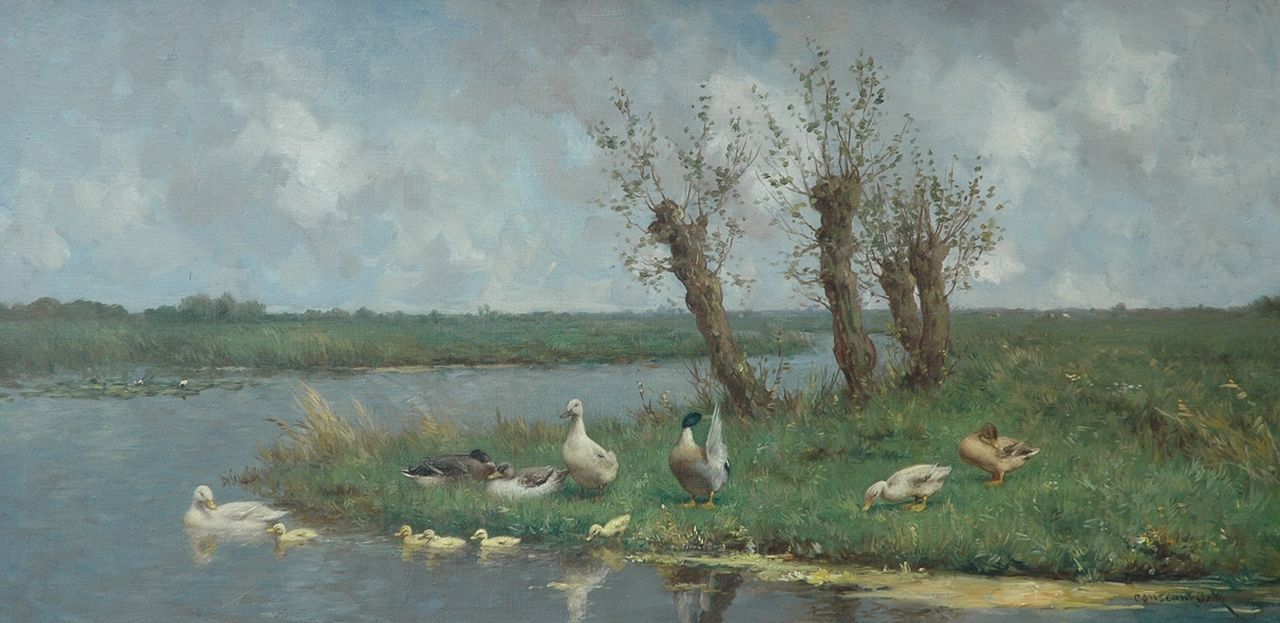 Artz C.D.L. | 'Constant' David Ludovic Artz, Hollands polderlandschap met knotwilgen en eendenfamilie, olieverf op doek 40,0 x 80,5 cm, gesigneerd rechtsonder Artz C.D.L. | 'Constant' David Ludovic Artz, Hollands polderlandschap met knotwilgen en eendenfamilie, olieverf op doek 40,0 x 80,5 cm, gesigneerd rechtsonder