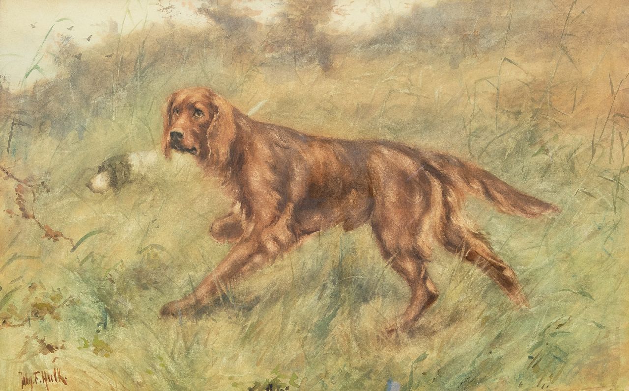 Hulk jr. J.F.  | Johannes Frederik 'John' Hulk jr., Ierse setter, aquarel op papier 40,0 x 63,5 cm, gesigneerd linksonder