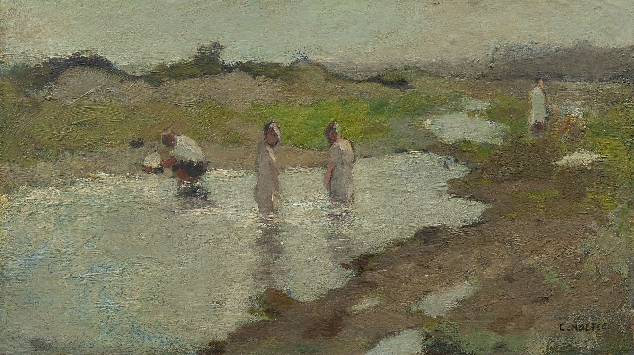 Noltee B.C.  | Bernardus Cornelis 'Cor' Noltee, Duinmeertje in de zomer, olieverf op doek op paneel 20,7 x 35,3 cm, gesigneerd rechtsonder